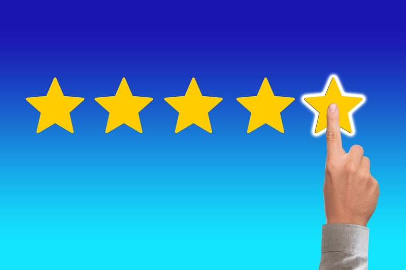 Performance Reviews